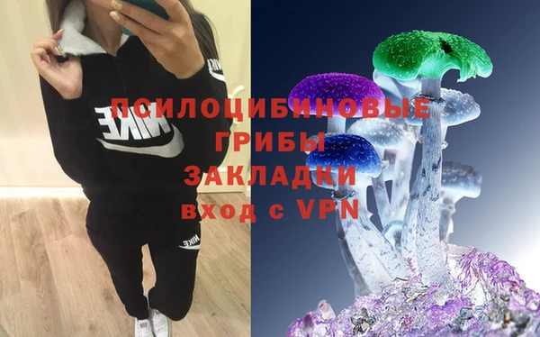 соль курить ск Алзамай