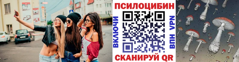 где найти наркотики  Омутнинск  Псилоцибиновые грибы GOLDEN TEACHER 